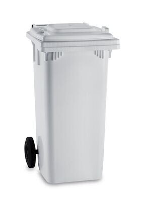 Contenitore " MAX" lt 120