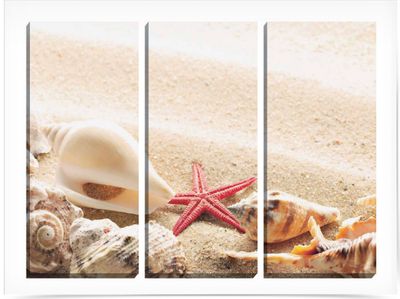 Tovagliette 30 x 40 Conchiglie