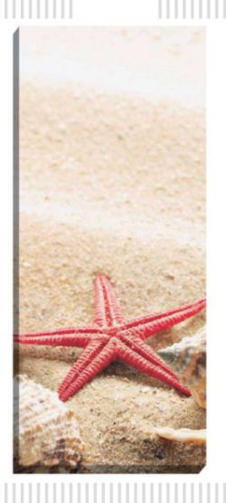 Busta Portaposate Conchiglia