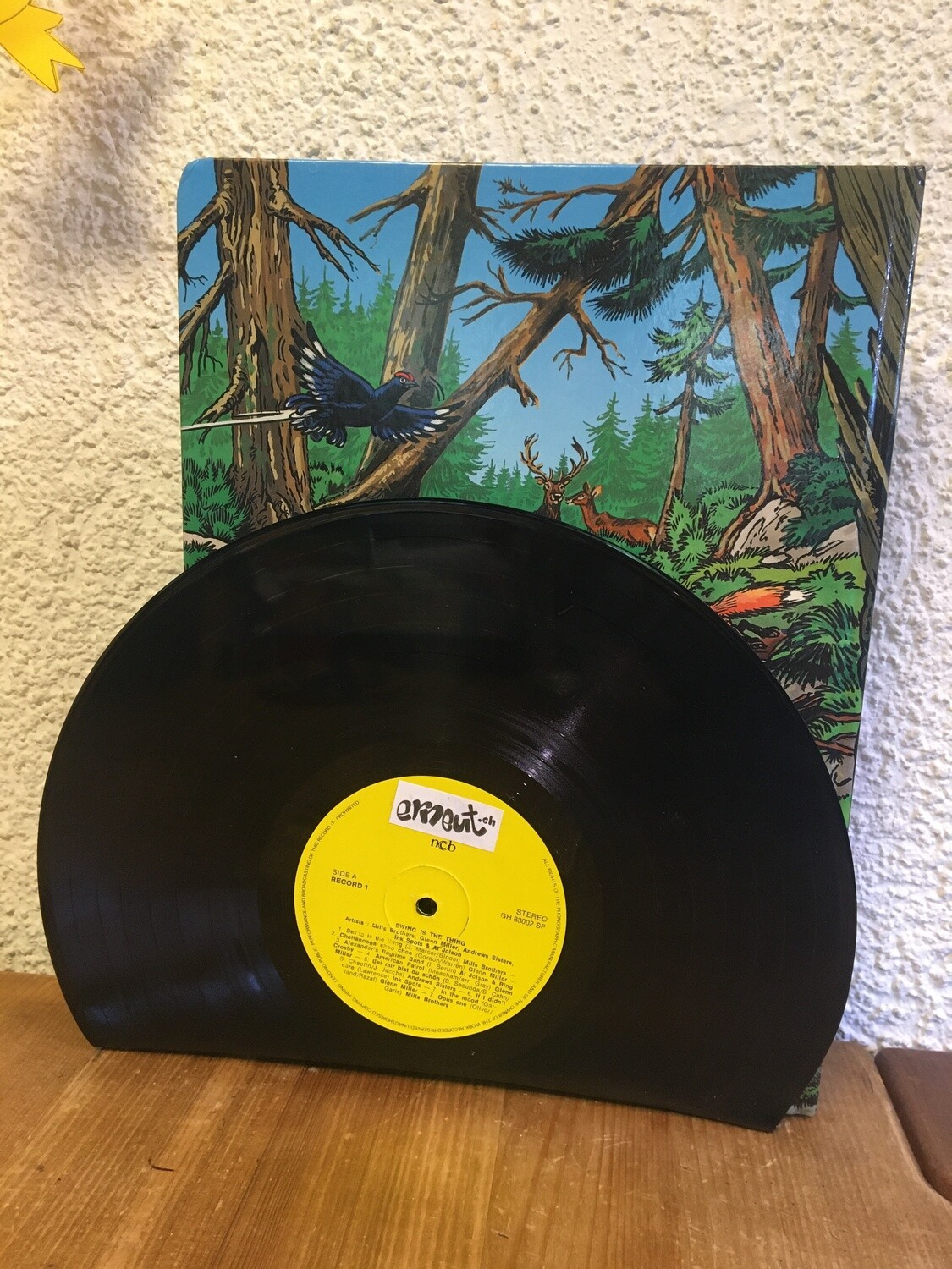Büchergestell aus Schallplatten
