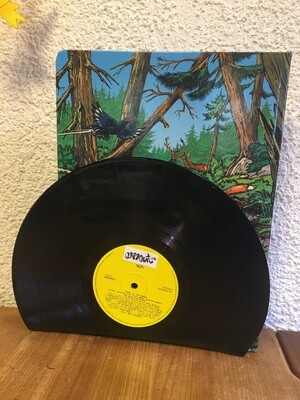 Büchergestell aus Schallplatten