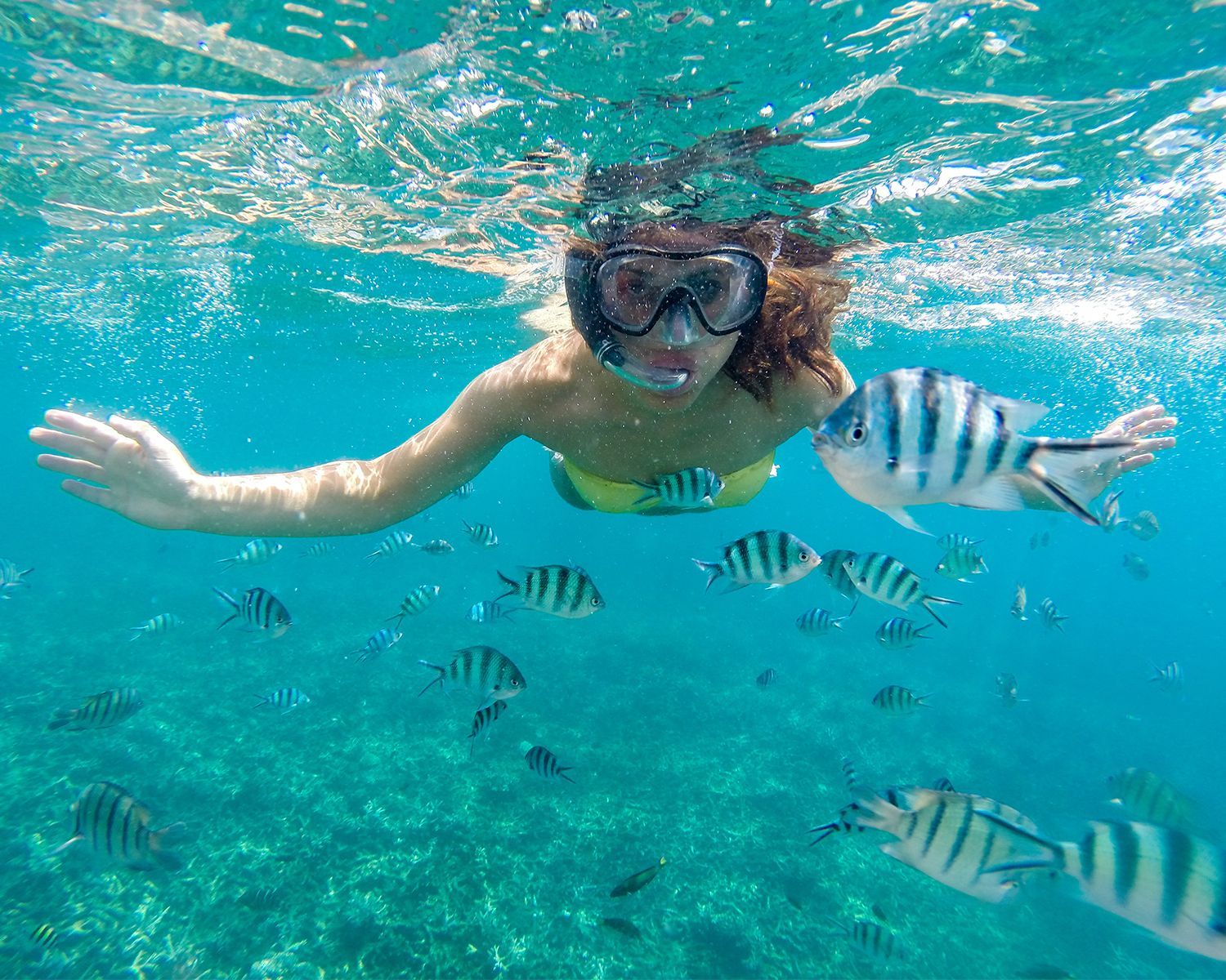 Snorkeling Cruise