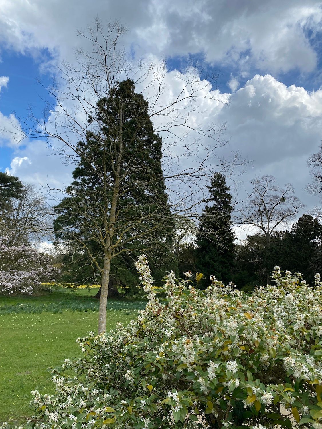 Accompagnement à l'écriture