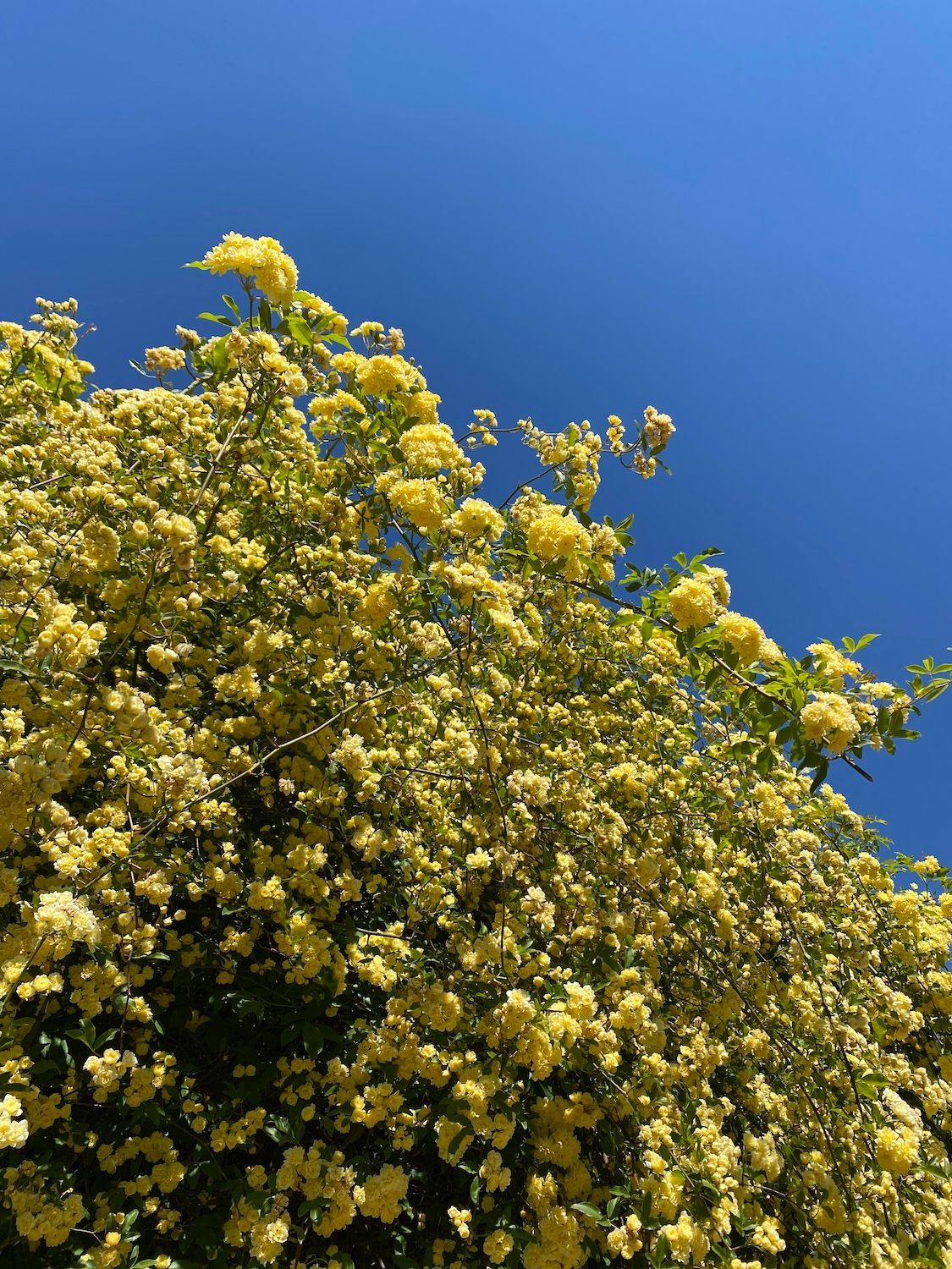 Consultation  astrologique personnalisée