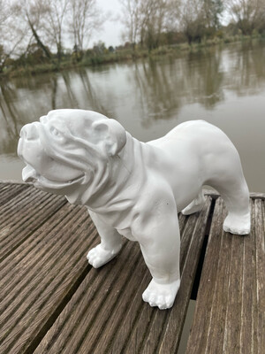 Small Resin British Bulldog In White