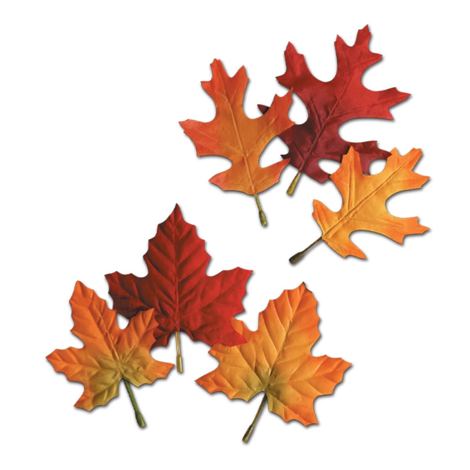 Autumn Leaves Assorted Sizes 12ct+
