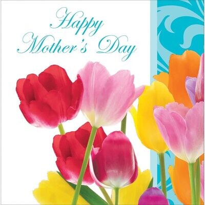 Springtime Mother&#39;s Day Lunch Napkins AMZ+