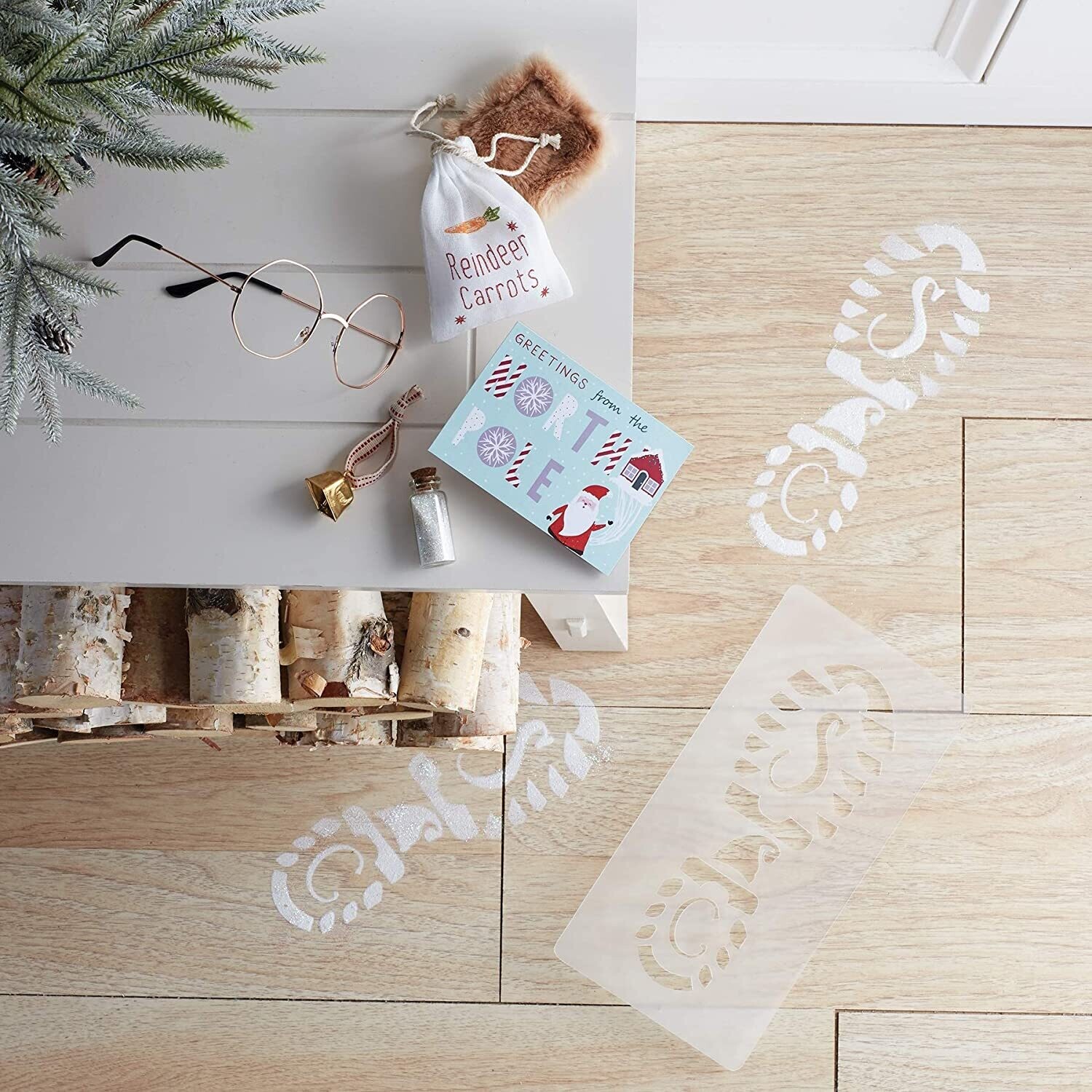 Santa and Reindeer Evidence Kit AMZ+