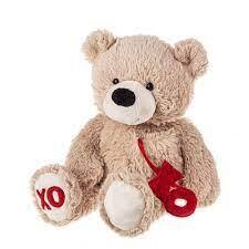 Stuffed Bear 13” XO+