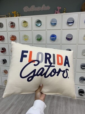 Florida Gators pillow+