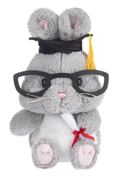 Graduated Bunny+