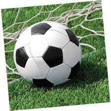 Sports Fanatic Soccer Lunch Napkins 16ct+
