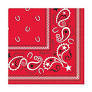 Bandana Beverage Napkin AMZ+