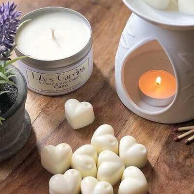 CANDLES/FRESHENERS