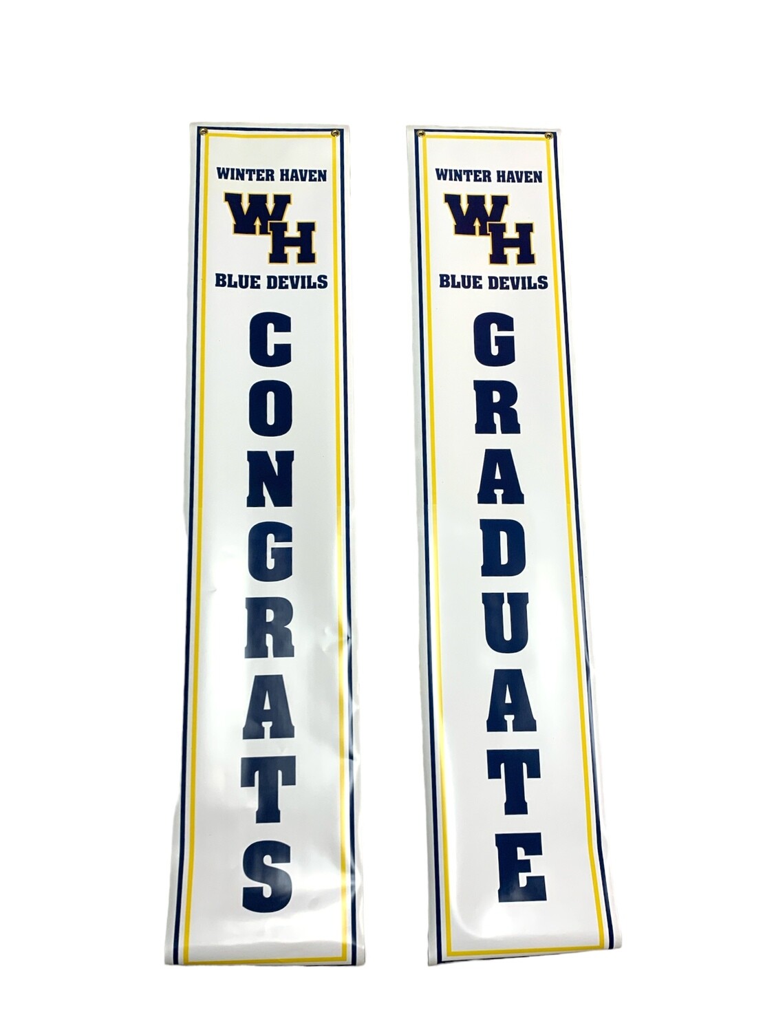 School Spirit Door Panel+ Winter Haven