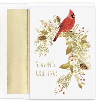 Pine Perched Cardinal Boxed Christmas Cards 15ct+