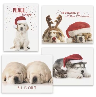 Puppy Love Holiday Assortment Box Christmas Cards 16ct+