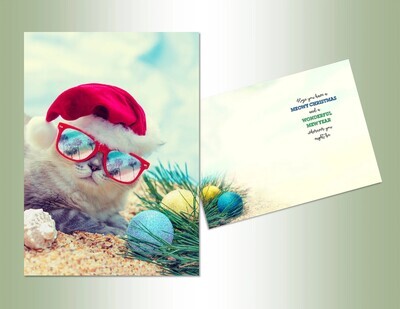 Kitten With Sunglasses Christmas Cards 14ct+
