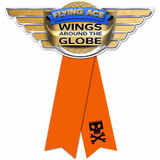 Disney Planes Birthday Party Favor Guest of Honor Ribbon AMZ+