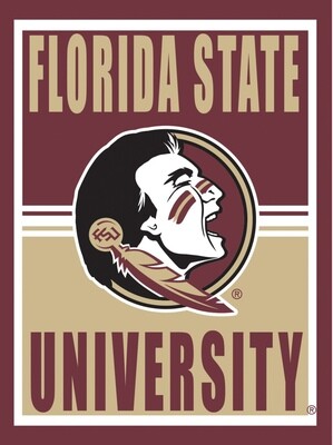 Medium Metal Wall Sign Florida State University+