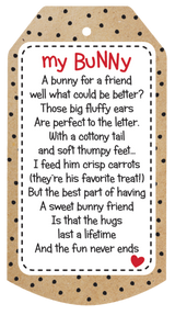 Fenway Bunny 11”