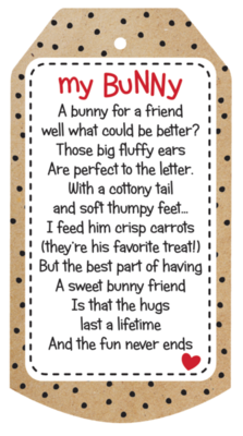 Carrot Easter Bunny Plush+