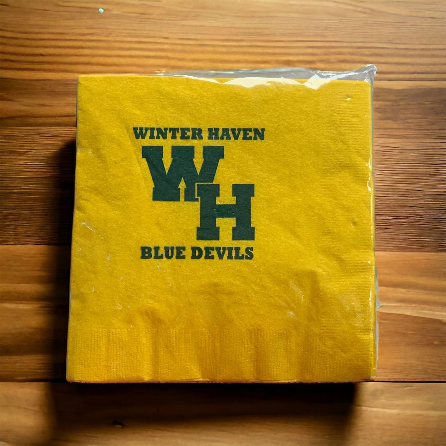 Polk County School Spirit Napkins+ Winter Haven