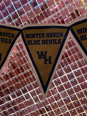 Polk County School Spirit Pennant Banners+ Winter Haven