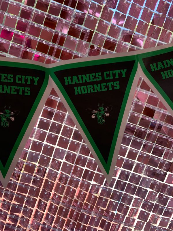 Polk County School Spirit Pennant Banners+ Haines City