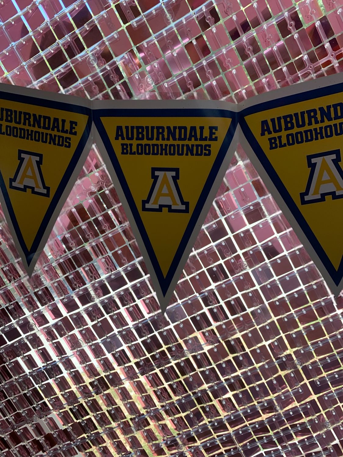 Polk County School Spirit Pennant Banners+ Auburndale