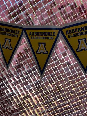 Polk County School Spirit Pennant Banners+ Auburndale