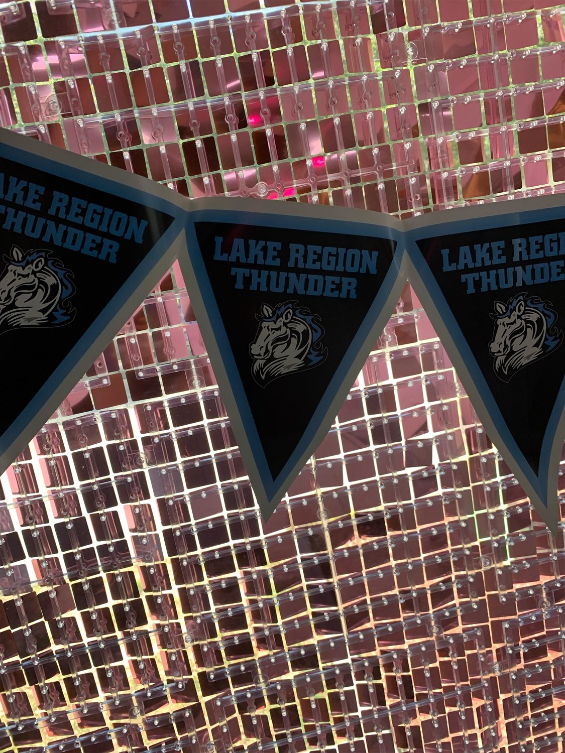 Polk County School Spirit Pennant Banners+ Lake Region