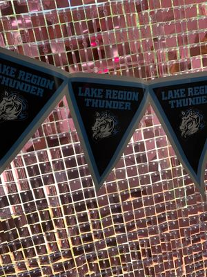 Polk County School Spirit Pennant Banners+ Lake Region