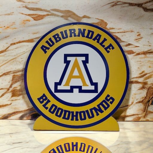 Polk County School Spirit Centerpieces+ Auburndale