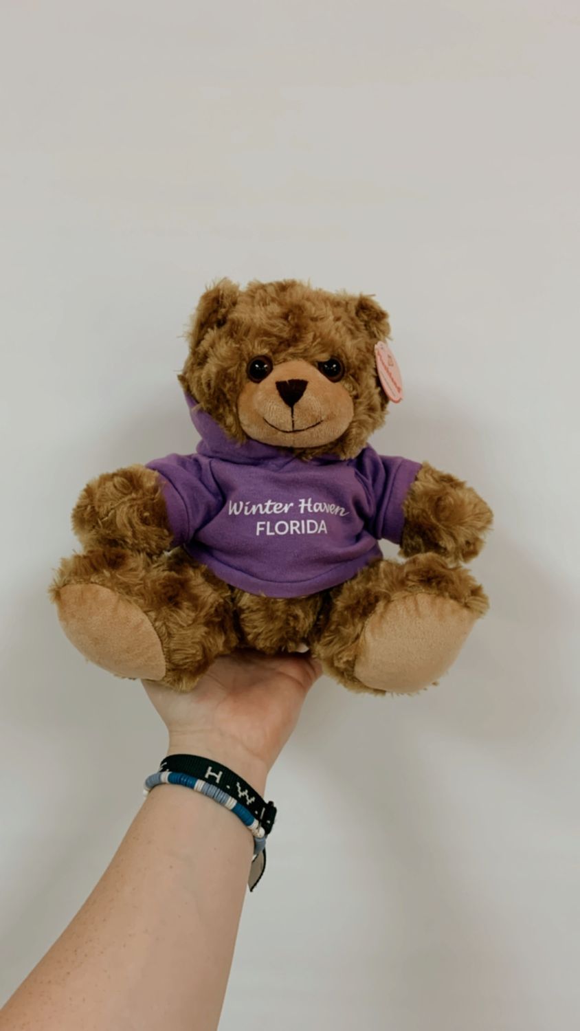 Winter Haven Mocha Bear with Hoodie+, Color: Lavender