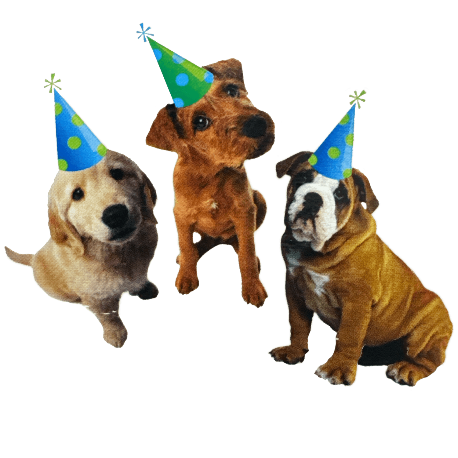 Puppy Party Cutouts 3ct+