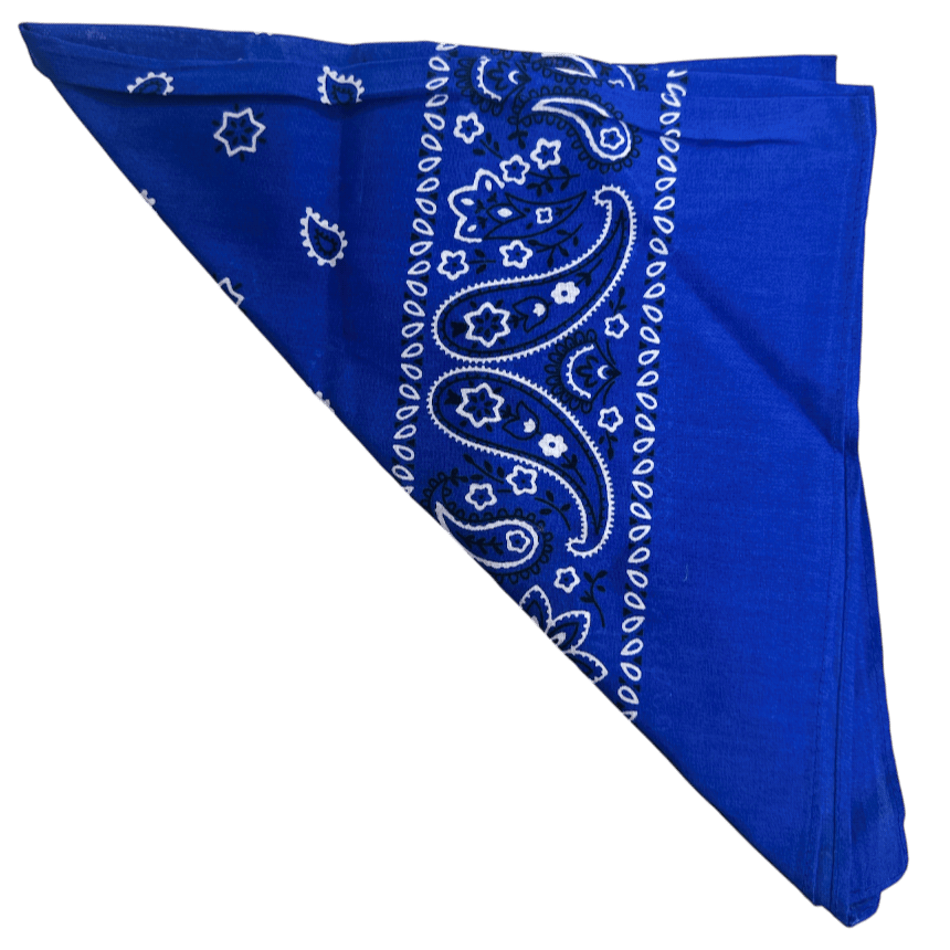 Bandana Blue+