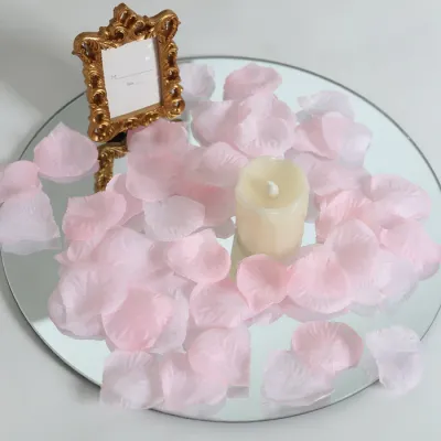 500ct Blush Slk Rose Petals+
