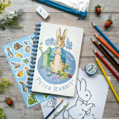 Art Activity Wallet - Peter Rabbit+
