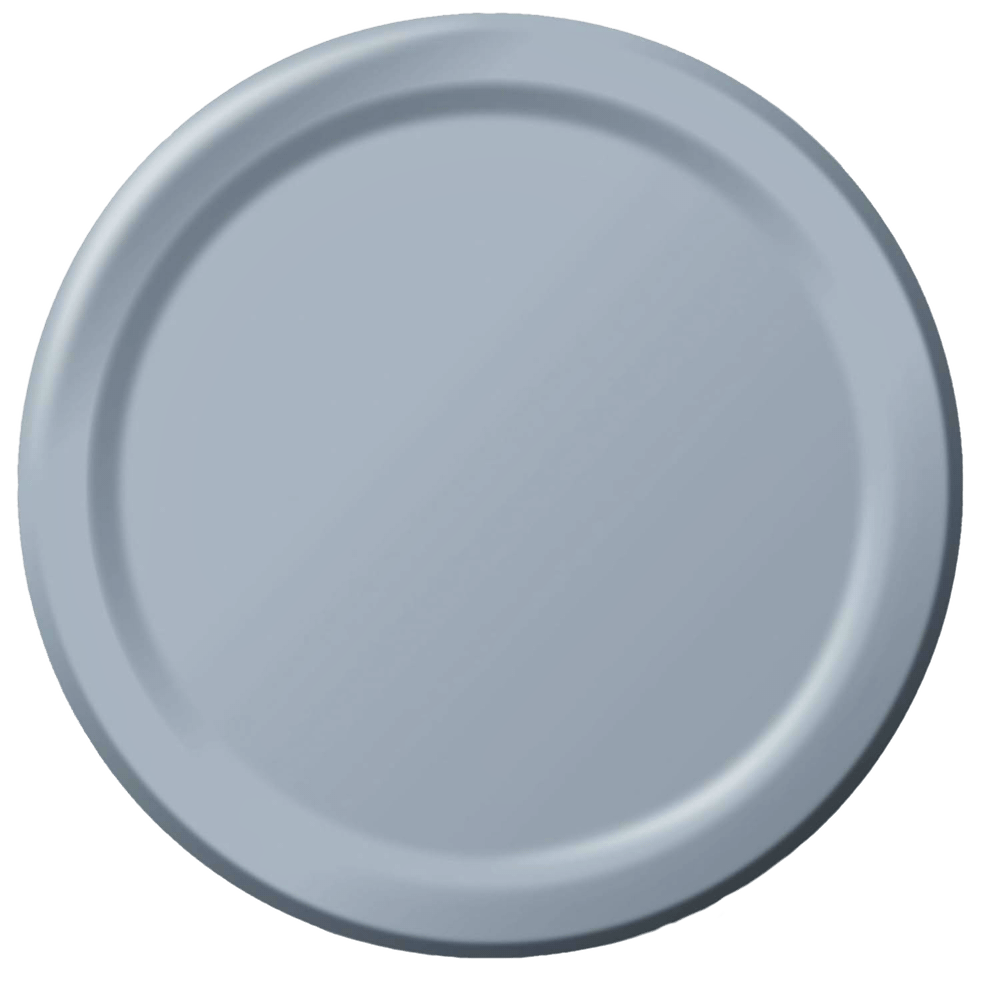 Shimmering Silver 7&quot; Paper Plates 24ct AMZ+