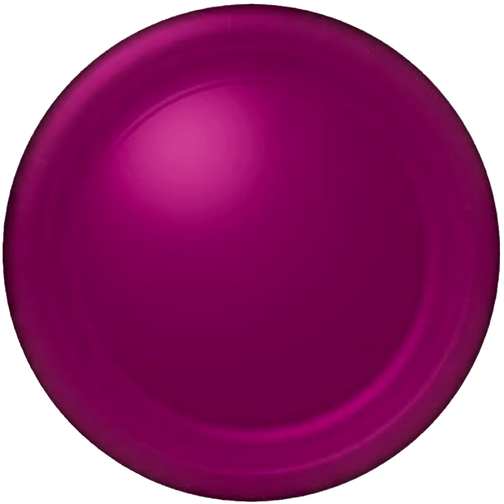 Wine 10.75&quot; Paper Banquet Plates 24ct+