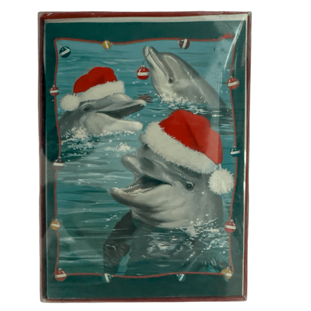 Dolphin Cards 15ct+