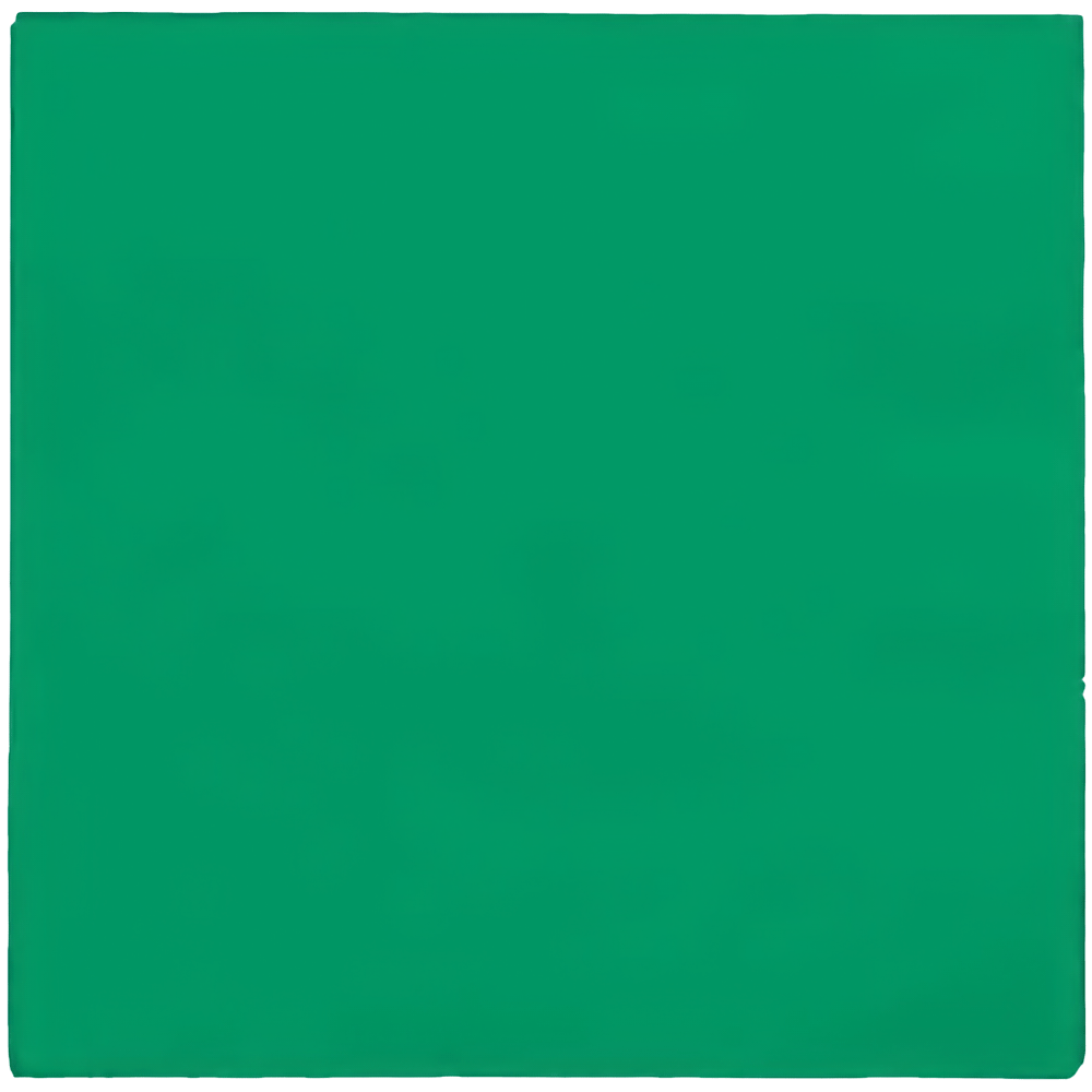 Christmas Green 2ply Dinner Napkins 25ct+