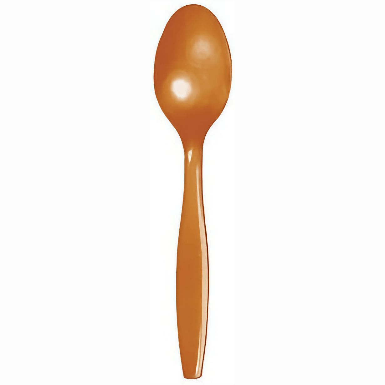 Pumpkin Spice Spoons 24ct+