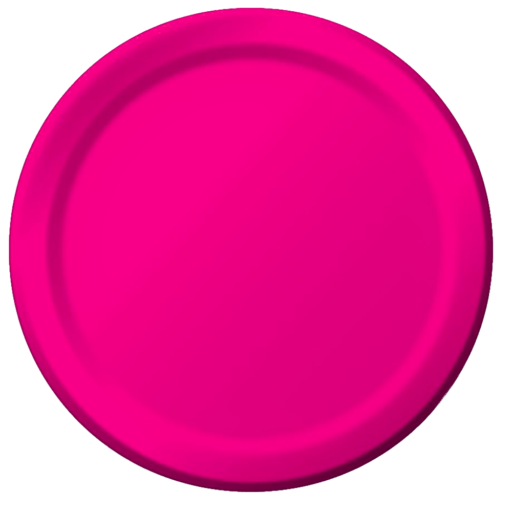 10” Paper Plates Hot Magenta 24ct AMZ+