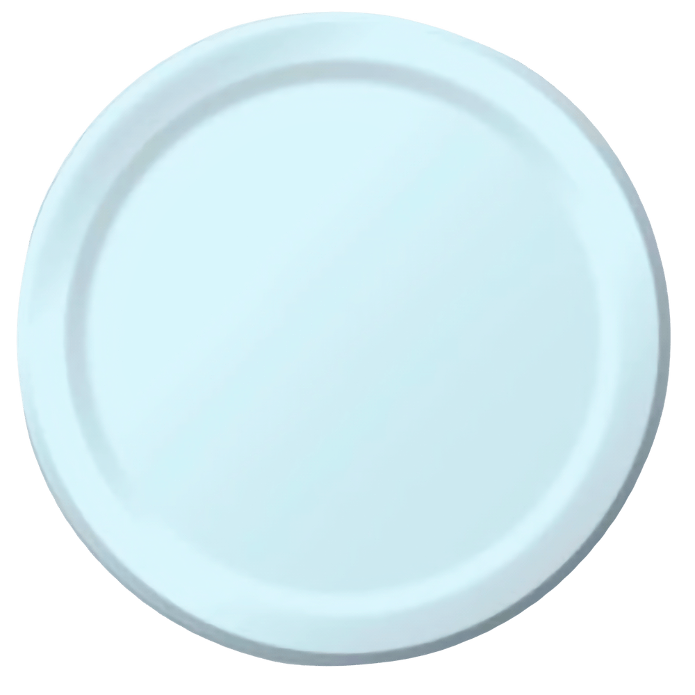 Pastel Blue 9&quot; Paper Dinner Plates 24ct+