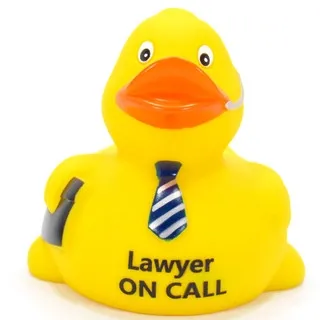 Rubber Duck- Lawyer +