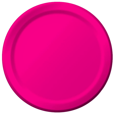 Hot Magenta 10” Paper Plates 24ct AMZ+