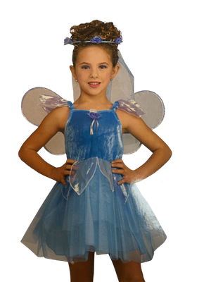 Blue Sky Fairy Child Small 4-6+