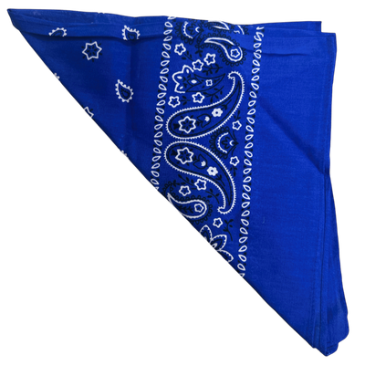 Bandana Blue+
